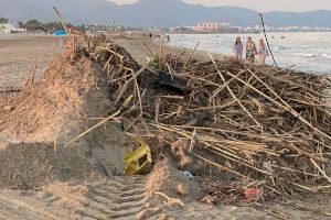 Carrasco: “La imagen turística que poyecta Marco de Castellón es de basura en las playas y mosquitos”