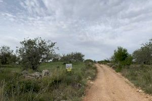 Les Coves de Vinromà activa el servicio de observadores municipales en colaboración con la Guardia Civil para prevenir robos en los campos
