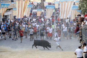 Octubre, possible data per a la tornada dels 'bous al carrer' a la Comunitat Valenciana