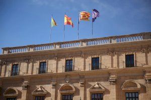 Castelló prorroga el període informatiu del sistema de control d'accés al centre amb cambres