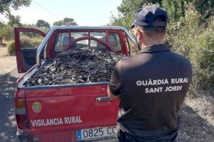El Ayuntamiento de Sant Jordi es pionero en la provincia en contratar seguridad privada para evitar robos en los campos
