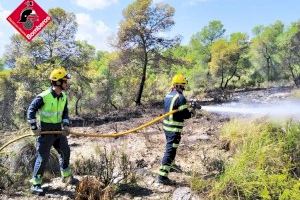 Extingit l'incendi forestal a Biar