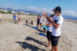 Castelló divulga la importància ambiental de les platges en una jornada de neteja al Serradal