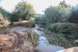 Mompó reclama a la Diputación que ayude a los municipios afectados por las inundaciones y que solicite el Fondo Europeo de Emergencia