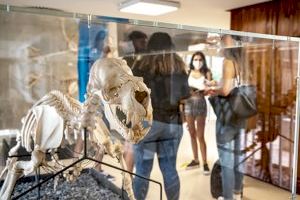 La Universitat de València posa en marxa el projecte Una finestra digital a la Història Natural amb el suport de la FECYT