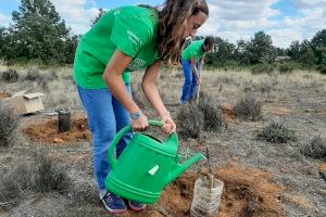 Iberdrola involucra a 5.000 voluntarios en la Semana Internacional del Voluntariado