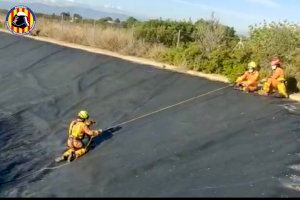 Els bombers salven a un gos en una bassa a Llíria