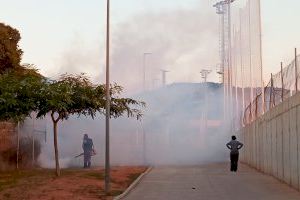 El Patronat d'Esports realitza fumigacions contra mosquits en instal·lacions municipals
