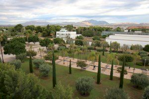 La Generalitat Valenciana reconoce ocho nuevos grupos de investigación de excelencia de la Universidad de Alicante