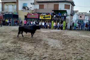 El PSOE veta la proposta del PP a Xilxes per a recuperar la festa del 'bou al carrer'