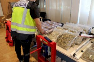 Desarticulada a València la major organització criminal de tràfic de drogues dels últims temps