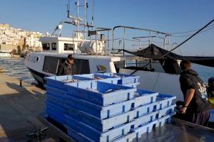 Els vaixells d'arrossegament de Castelló i Peníscola ixen a pescar després de dos mesos de veda voluntària