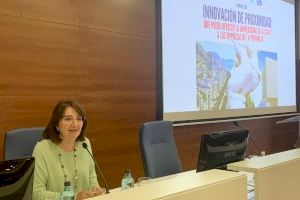 Amparo Navarro: "La innovación es la mejor aliada de las empresas para mejorar su competitividad"