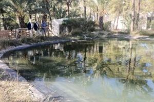 El Ayuntamiento firma un convenio con Hidraqua para la rehabilitación de la balsa de riego tradicional del Palmeral de Orihuela