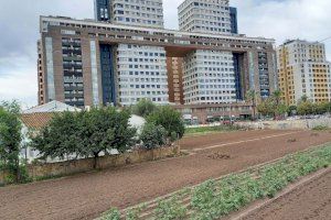Coexistència d’espais urbans i agraris en el “camí vell del Cabanyal”