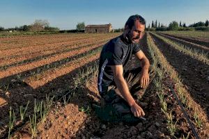 Castelló anima a fotografiar el mejor paisaje agrario con premios de 900, 600 y 400 euros