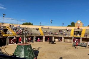El Ayuntamiento de Oropesa del Mar donará el dinero recaudado de los festejos taurinos a la Palma