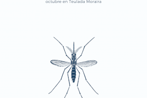 Actuaciones de control de plagas durante el mes de octubre en Teulada Moraira