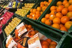 Arranca la campanya de cítrics: des de hui pots comprar mandarines valencianes en Consum