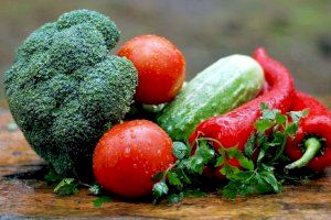 Expertos recomiendan un 50% de verduras en un táper saludable