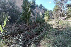 El PRyA denuncia el "abandono" de la Fuente de los Morenos siete años después del hundimiento de su ladera