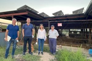 Experts visiten a ramaders i almàsseres per a ensenyar-los a beneficiar-se de l'Economia Circular de l'Oliva