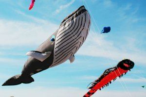 Gandia acull el Festival de Milotxes gegants i de vol acrobàtic OSOW 2021