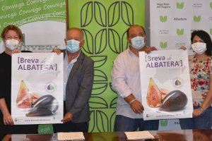 La Asociación de Productores de Breva de Albatera promoverá la marca territorio de la Vega Baja