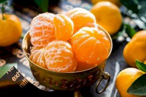 La UPV y Frutinter logran las primeras clementinas del mundo certificadas con huella de nitrato cero