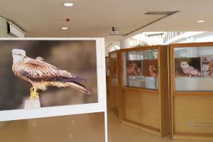 El fotógrafo y naturalista villenense Miguel Ángel Berbegal inaugura la exposición «Conocer para proteger» en la Universidad de Alicante