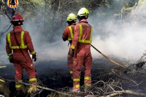 Descienden drásticamente los incendios forestales en la provincia de Valencia