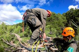 Cuatro agentes medioambientales del Grupo de Intervención en Altura participan en unas jornadas en Castilla La Mancha