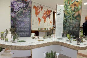 El Centro Cultural Gómez-Tortosa acoge la exposición “Especias: El Universo del Sabor”