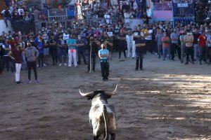 Onda recupera el bou al carrer con cerriles de Miura y Partido Resina y un encierro de Germán Vidal