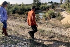 Almassora ampliará a la CHJ la petición de arrancar cañar en Santa Quitèria tras limpiar el río