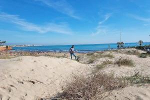 Medio Ambiente inicia las actuaciones en la playa de La Glea y Cala Bosque con el fin de conservar y recuperar los ecosistemas dunares