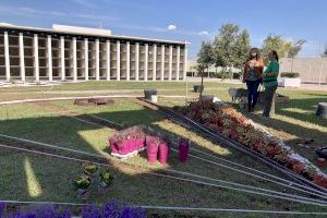 Almassora transforma el cementeri amb les pràctiques del Centre de Formació