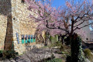 Morella renova les tres flors de Viles en flor