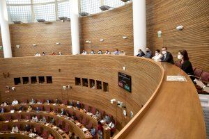 Las Cortes Valencianas aprueban la ley que garantiza la financiación y conservación del Palmeral ilicitano