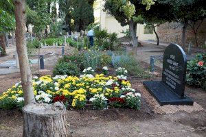 València impulsa una campanya per a un Tots els Sants lliure de mosquits tigre en cementeris