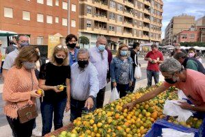 Una década de defensa de la agricultura local en Almassora