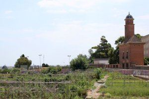 Godella organitza una nova ruta guiada pel municipi per a sensibilitzar sobre l’agroecologisme i el producte de proximitat