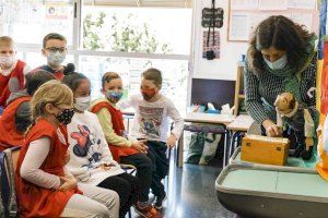 «Arranca-les d'arrel» educación en igualdad en Picassent para 2.700 alumnos