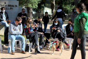 Garcia destaca la sensibilitat i solidaritat de Castelló amb el VI Festival de l’Adopció