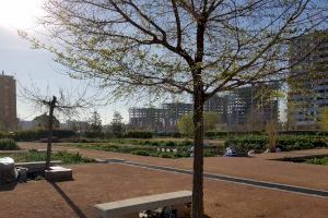 El Ayuntamiento de València modernizará el alumbrado en una zona de huerta de La Torre con farolas solares