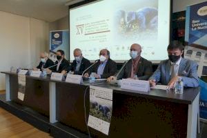 La Nucía acoge el XV Curso Internacional de Cooperativismo y Desarrollo Rural de la UA