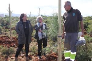 L’Ajuntament inicia la plantació de 400 arbres i arbustos a la serra del Torrater en compliment d’una demanda de “Ontinyent Participa 2021”