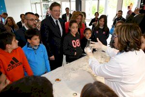 Vila-real promueve el interés por la ciencia entre los escolares con actividades conmemorativas del Día de la Ciencia