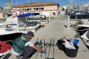 Denunciado por capturar diversos ejemplares de pescados, marisco y crustáceos de forma ilícita en Torrevieja