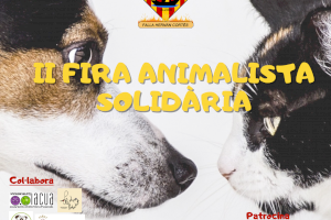 Alzira celebra el pròxim diumenge la II Fira Animalista Solidària a la plaça Major